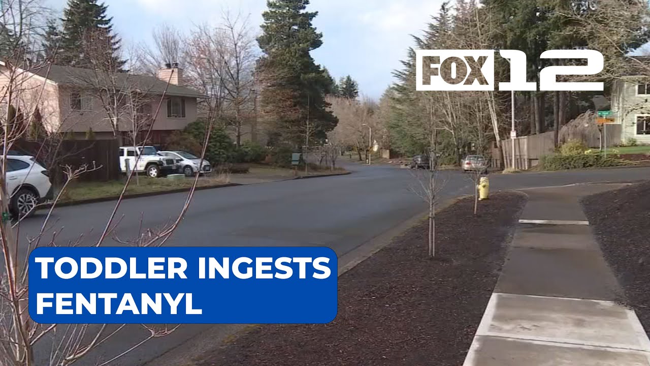 Toddler hospitalized after likely fentanyl ingestion in Beaverton - YouTube