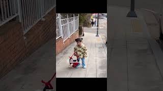 Download Lagu Romi doesn't want to go to school 😂😂 Throwing her bag🤣#youtubeshorts #shorts #viral #jinmiran #rohee MP3