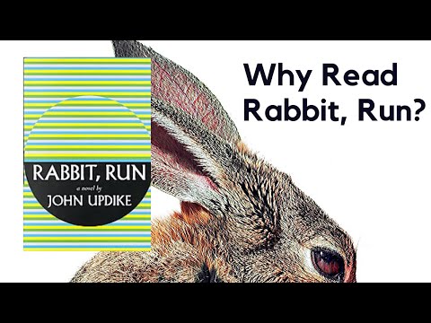 Why Read Rabbit, Run? Review & Analysis