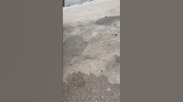 5.3 LS with Texas Speed Performance Torquer v4 cam idle CHOPPY‼️🔪😮‍💨🔊#texasspeed #tsp #htownauto