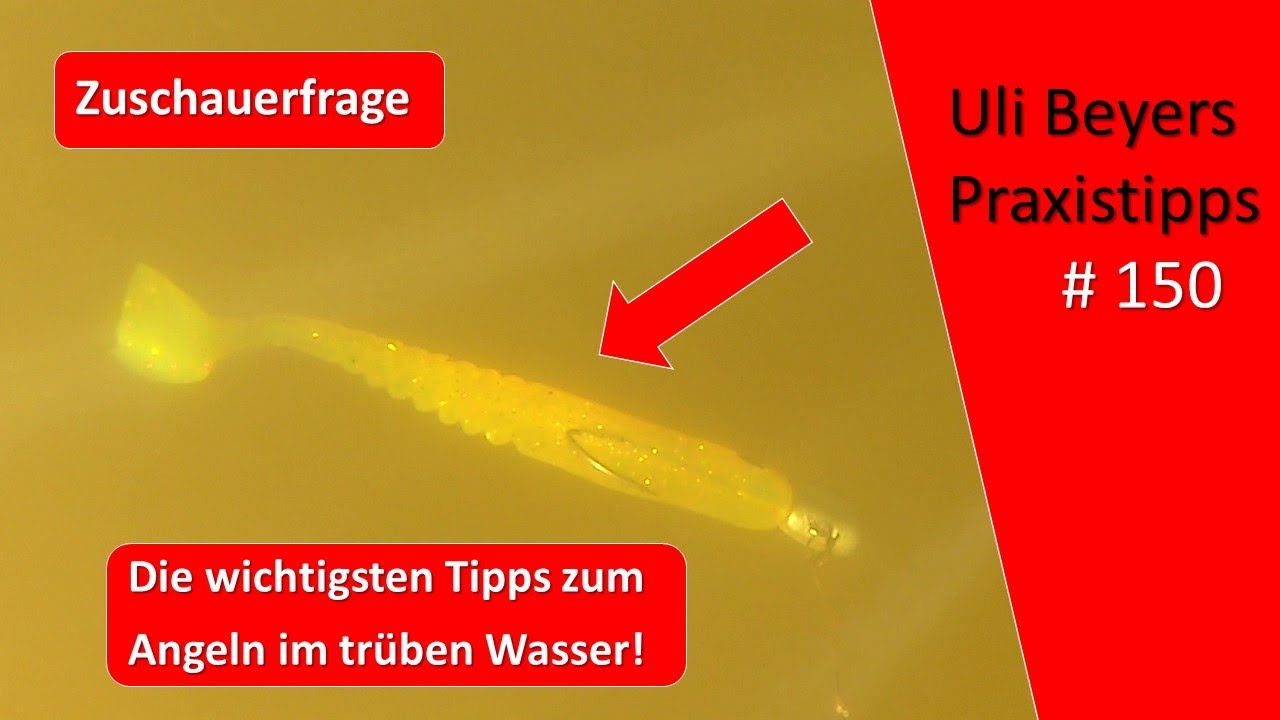 Trübes, grünes Wasser im Whirlpool oder Pool?