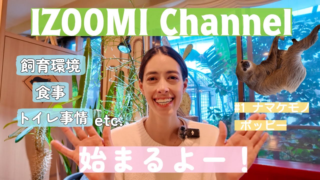 IZOOMI Channel 始まるよ！  #1  ナマケモノ ポッピー／Check out my sloth Poppy’s habitat
