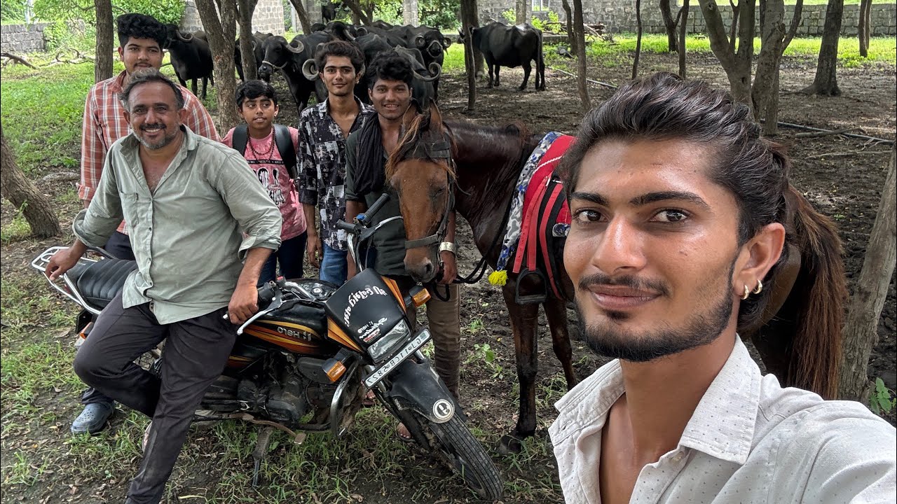 || 🐃ભેંસ નો આખો તબેલો વેચવાનો હે ||       @HARDIKODEDRA02 