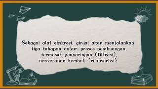 Sistem Ekskresi Pada Mia Bagian Ginjal- Kelas 11