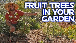 Growing Fruit Trees IN My Vegetable Garden & What to Avoid