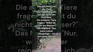 Das Nilpferd Und Der Pool