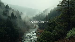 A Quiet Chapter 🍃 | Peaceful Forest Ambience & Soft Lo-Fi screenshot 3