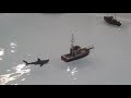 Radio Controlled Fishing Ship Model Being Pursued by Jaws - Rescue on its Way