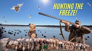 I SHOT MY LIMIT In 20 MINUTES! 6-Man LIMIT(Arkansas Duck Hunting)