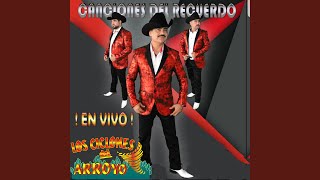Video thumbnail of "Los Ciclones Del Arroyo - Te Extraño (En Vivo)"