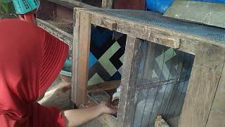 Ayam kampung, isi waktu luang dengan beternak ayam Ayam kampung, isi waktu luang dengan beternak ayam