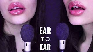 ASMR Twins | Inaudible Whispering & mouth sounds