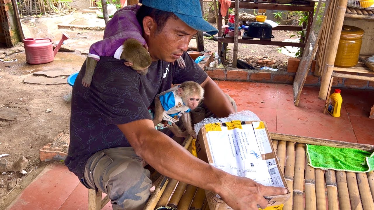Sơn and BiBi were surprised with a gift box from America - what's inside?