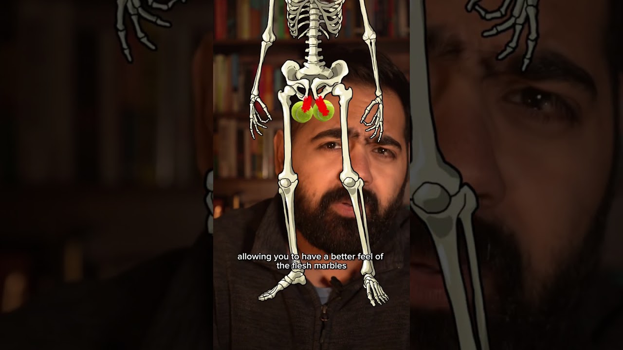 Doctor Explains How To Feel Your Balls!