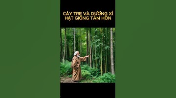 CÂY TRE VÀ DƯƠNG XỈ || ĐỪNG BAO GIỜ TỪ BỎ || BÀI HỌC CUỘC SỐNG