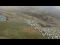 drone mustering