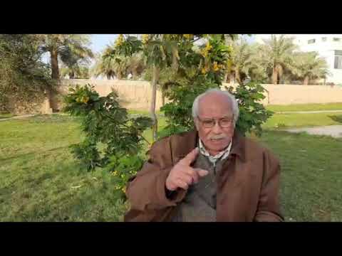 جاني ابويا في المنام