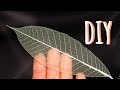 How to make skeleton leaves at homehome decor idea