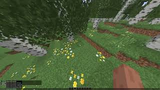 Minecraftplugins.org demo - LagCleanerX