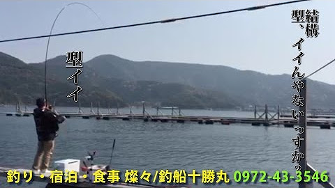 釣船十勝丸海辺の小さな宿燦々 Youtube
