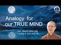 The analogy for ture mind  zen theory for mindfulness  ven abbess master miao jing