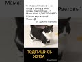 Жиза. Мечты &quot;Обычная ситуация у каждого школьника во сне&quot; #школа#youtube#мемы