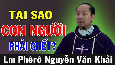 TẠI SAO CON NGƯỜI PHẢI CHẾT? - Bài Giảng Sâu Sắc Của Lm Phêrô Nguyễn Văn Khải | Ánh Sáng Lời Chúa