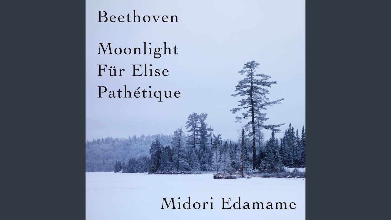 Mira Beethoven: Piano Sonata No. 14 Adagio Sostenuto ‘Moonlight’ en YouTube