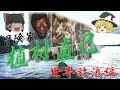 【ゆっくり解説】植村直己① 世界放浪編/ 冒険家・植村直己 若き日の世界放浪の旅を紹介/ ケニヤ山・アコンカグアに登頂、アマゾン川をいかだで川下り