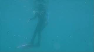 PNG - Glimpses of what to see around Mioko Island in the Duke of York Islands