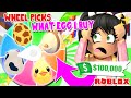 WHEEL Picks What *EGGS I BUY* in Adopt Me Roblox