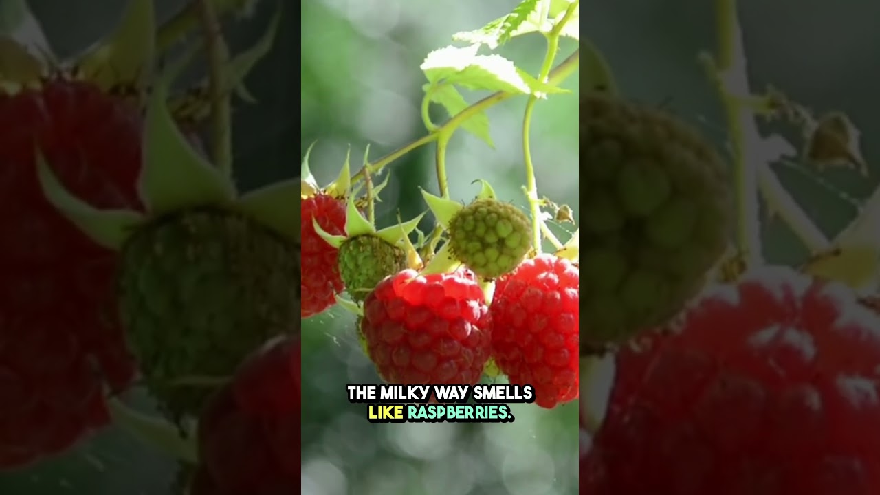 The Milky Way    smells like raspberries!  