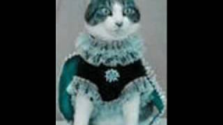 king cat dances_0001.wmv
