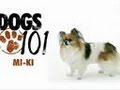 Dogs 101 - Mi-Ki の動画、YouTube動画。