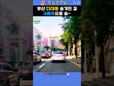 부산 다대동 숨겨진 길 4배속으로 슝💨 #부산 #다대동 #드라이브