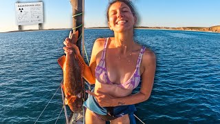 BOAT LIFE: SPEARFISHING a NUCLEAR WASTELAND ⚠️