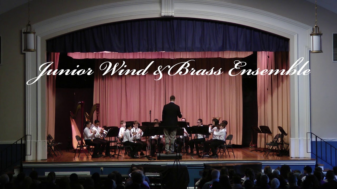 Williamsburg Youth Orchestra Winter Concert 2019