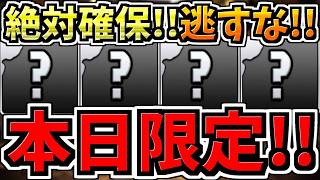 【本日(13日)限定】逃すと絶対後悔します！知らないと絶望することになります！誰でも入手可能な人権キャラ！今後のパズドラ人生に大きく関わる重要なことです！徹底解説【パズドラ】
