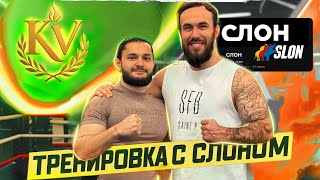 видео: Мудрости жизни и спорта. Секреты атлетов и профессиональный подход к здоровью. Казбек и Арсений СЛОН картинка: Мудрости жизни и спорта. Секреты атлетов и профессиональный подход к здоровью. Казбек и Арсений СЛОН