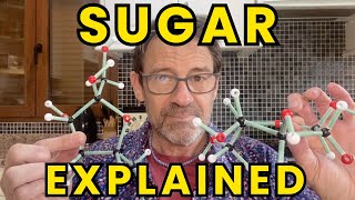SUGARS - What They Are and Where They Hide