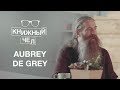 Aubrey de Grey on how science will help us end aging and become almost immortal. Book Person #30