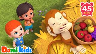 eeny meeny miny moe catch tiger counting rhymes kids songs