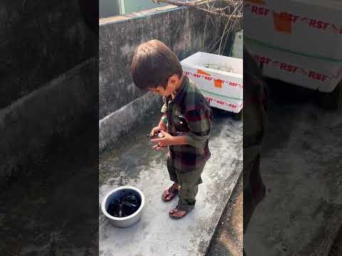 Nawaf Is So Cute Nawaf 