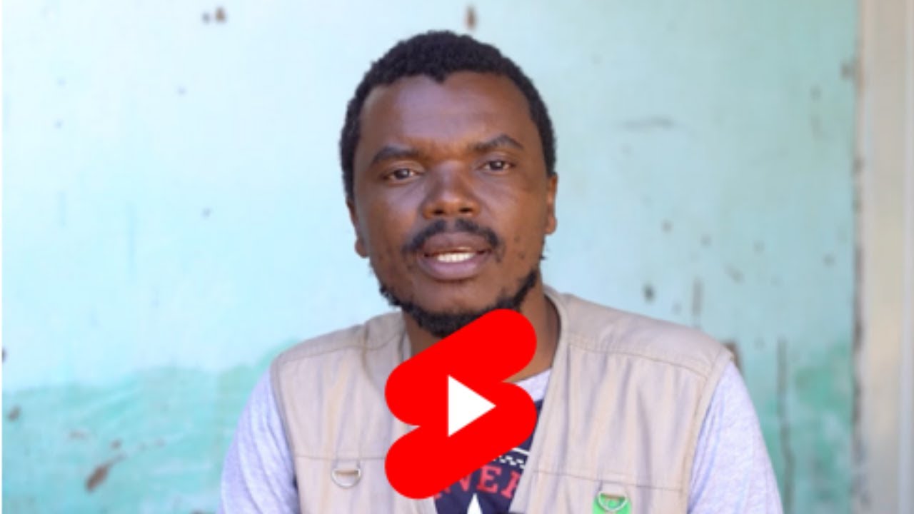 Southern Africa Food Crisis