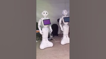 DARPA Robotics Challenge 2015 Overview