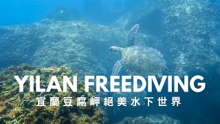 自由潛水絕美水下秘境潛點一宜蘭豆腐岬夢幻之牆 宜蘭潛點