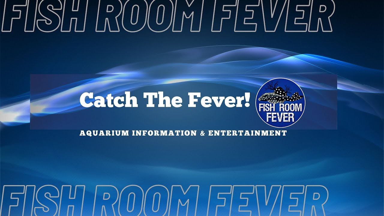 How I'm Prepping to Build My Fishroom