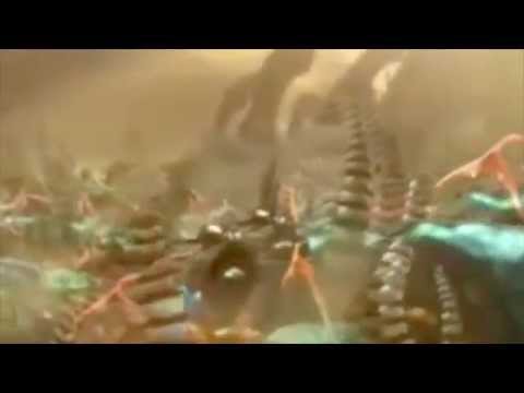 order 66 (funny)