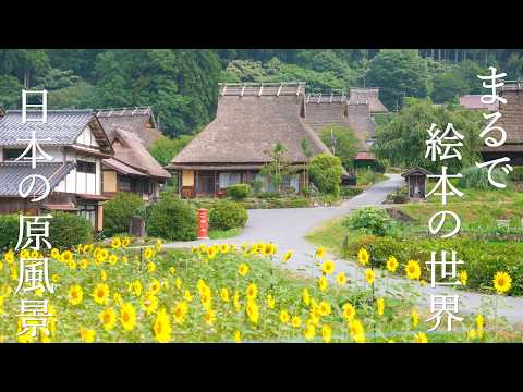 Relaxing Summer in Rural Kyoto: Traditional Village, Sunflowers & Wind Chimes