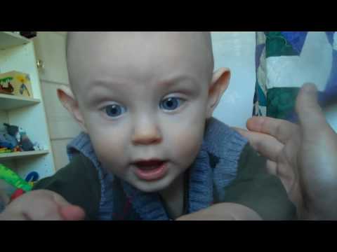 Don't eat the video camera